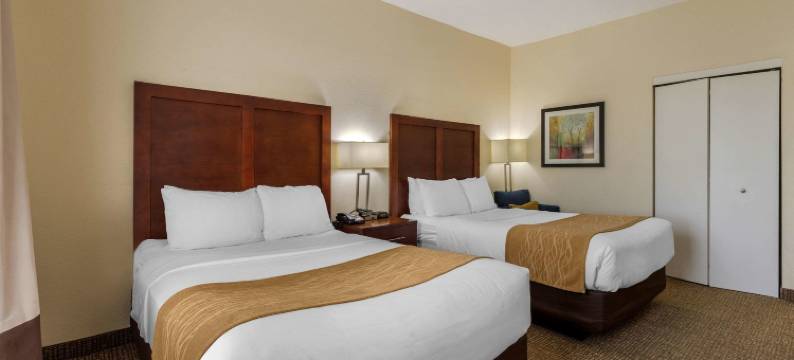 卡姆登舒适酒店及套房(Comfort Inn & Suites)图片