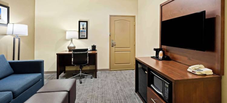 格林斯伯勒温斯顿塞勒姆高点丽怡酒店(Comfort Inn & Suites High Point - Archdale)图片