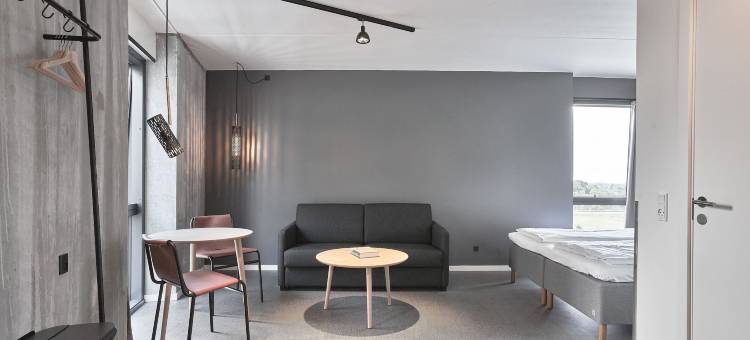 哥本哈根体育场福朋喜来登灵动酒店(Four Points Flex by Sheraton Copenhagen Arena)图片
