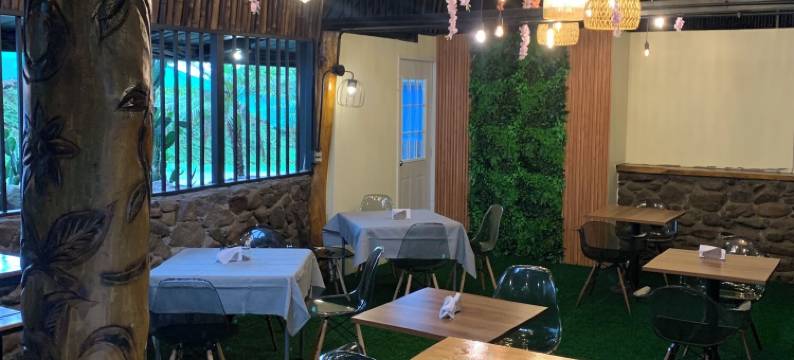 博克特萤火虫旅馆(Boquete Firefly Inn)图片