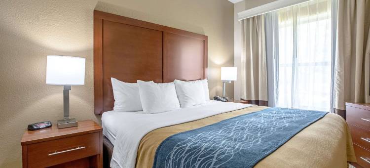 印地安纳波利斯北舒适酒店-卡梅尔(Comfort Inn Indianapolis North - Carmel)图片