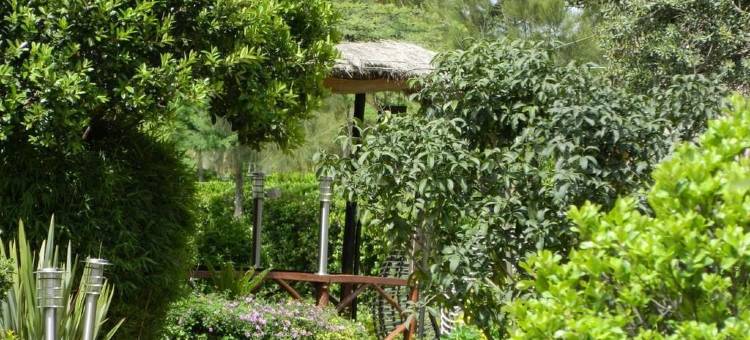 拉娜希旅馆(Lalanasi Lodge)图片