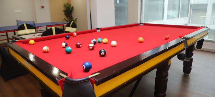 獒犬酒店安科讷什瓦(Mastiff Hotel Ankleshwar)图片