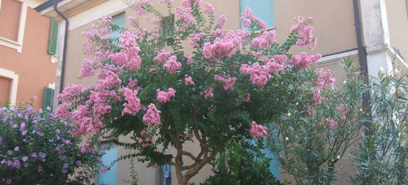 Accorsi 民宿(B&B Accorsi)图片