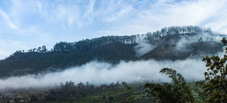 宁静岛别墅(Villa Serenity)图片