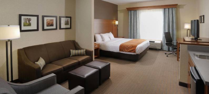 会议中心及舒适套房酒店(Comfort Suites Hotel and Conference Center)图片