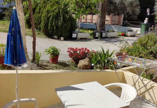 Zinovia Hotel Overview