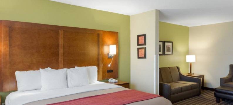 费耶特维尔大学区舒适套房酒店(Comfort Inn & Suites Fayetteville-University Area)图片