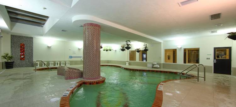 萨拉索塔布雷登顿机场希尔顿逸林酒店(DoubleTree by Hilton Sarasota Bradenton Airport)图片