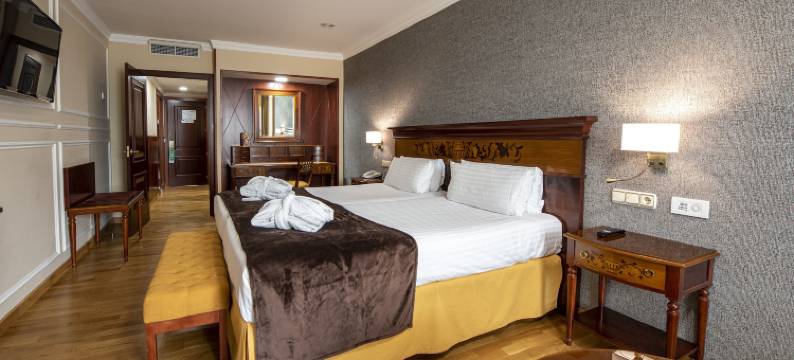 欧洲之星阿拉瓜尼住宿(Eurostars Araguaney)图片