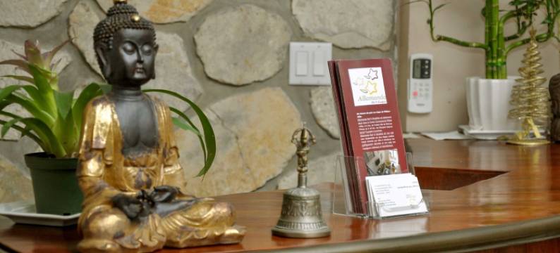 阿罗拉曼达酒店(Allamanda Hotel)图片