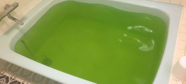 新居滨山丘王子酒店(Hotel Niihama Hills Prince House)图片