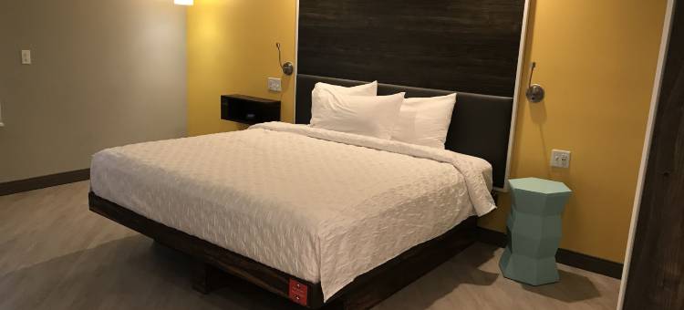 法姆维尔希尔顿Tru酒店(Tru by Hilton Farmville)图片