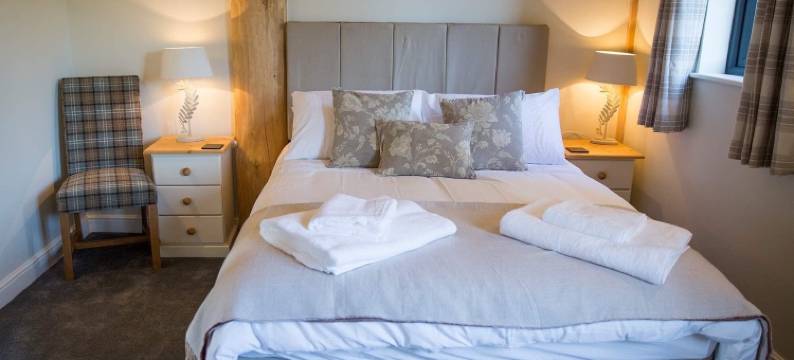 布莱斯蒂森林 - 希望与光芒(Braisty Woods - Hopes & Beams)图片