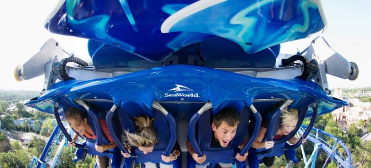 奥兰多希尔顿酒店(Hilton Orlando)图片