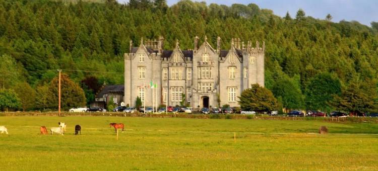 基尼缇城堡酒店(Kinnitty Castle Hotel)图片