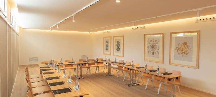 波尼恩特港饭店 H10(H10 Porto Poniente 4 Sup)图片