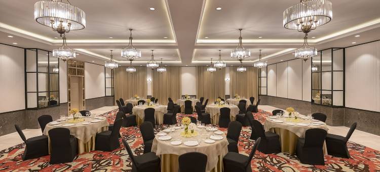 加尔各答新镇柠檬树高级酒店(Lemon Tree Premier, New Town, Kolkata)图片