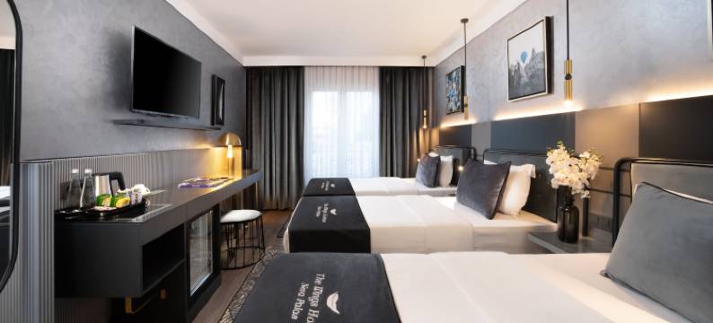 涅瓦宫酒店(The Wings Hotels Neva Palas)图片