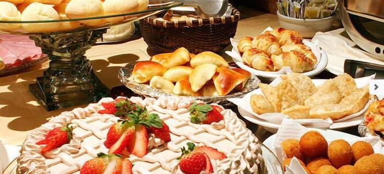 弗内克斯艾拉克酒店(Fenix Hotel Araxá)图片