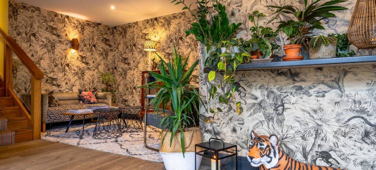 黄金海豚酒店(The Godolphin Hotel)图片