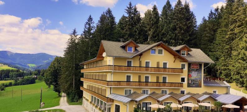 利比内斯特贝格沃特精品酒店(LiebesNesterl Bergwirt - Boutique Hotel)图片