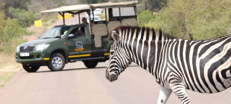 布施威罗私人别墅酒店(Bushwillow Private Villa)图片