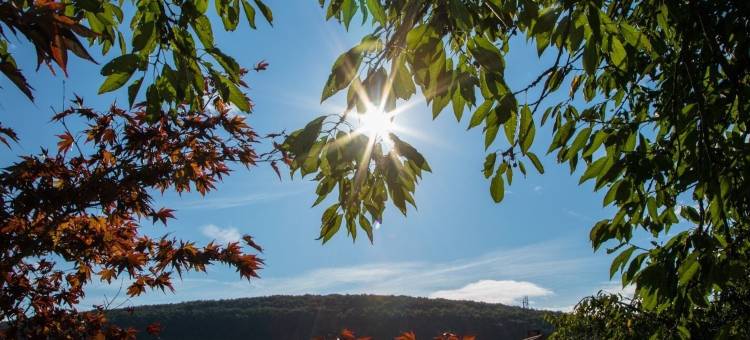 蓝色大门酒店(Les Portails Bleus)图片