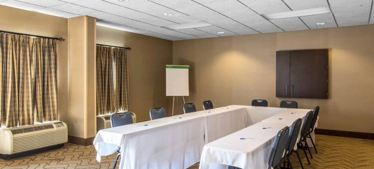 舒适套房酒店(Comfort Inn & Suites)图片