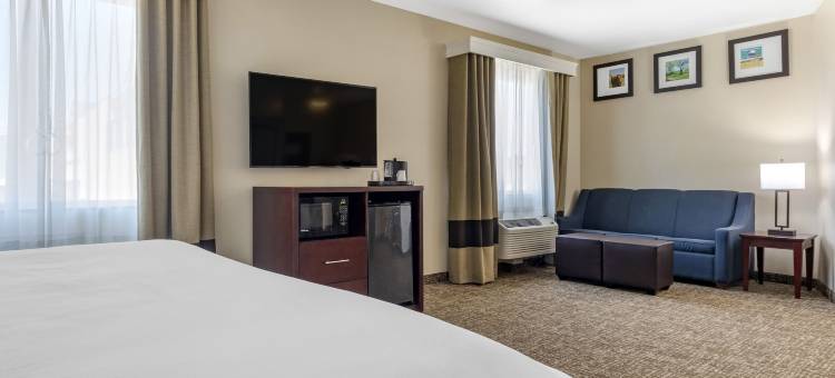 韦科北舒适套房酒店-近大学区(Comfort Suites Waco North - Near University Area)图片