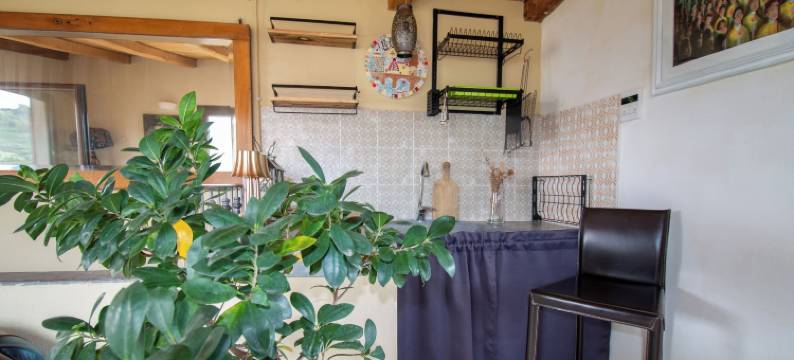 博萨之眼之家 1873(Bosa Eye House 1873)图片