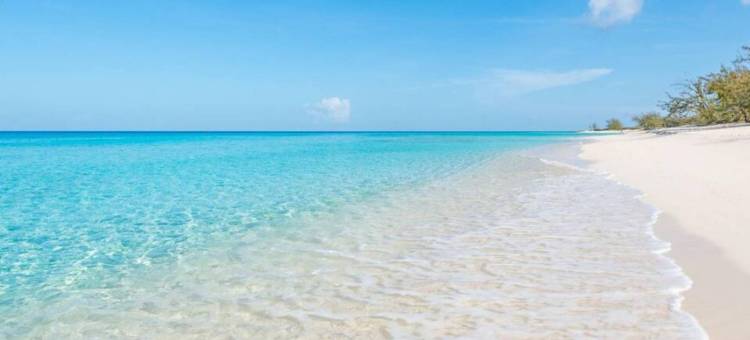 S1 BP 步行至海滩(S1 BP Steps to Beach)图片