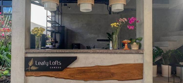 Leafy Lofts Canggu图片