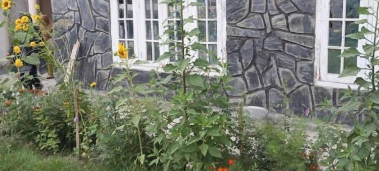 斯卡杜神圣公寓(Black Stone Suites Skardu)图片