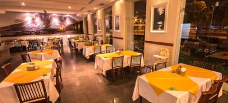 艾帕纳广场酒店(Aipana Plaza Hotel)图片