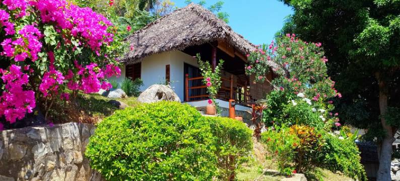 提基孔巴(Tiki Komba)图片