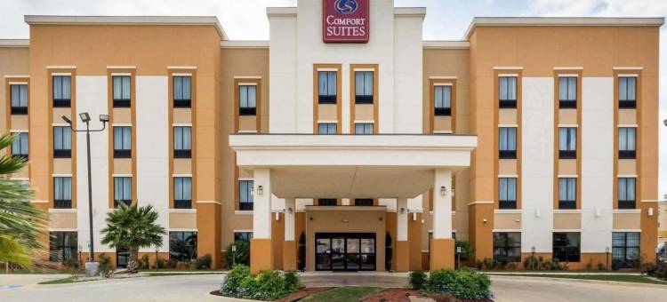 科图拉I-35附近舒适套房酒店(Comfort Suites Cotulla Near I-35)图片
