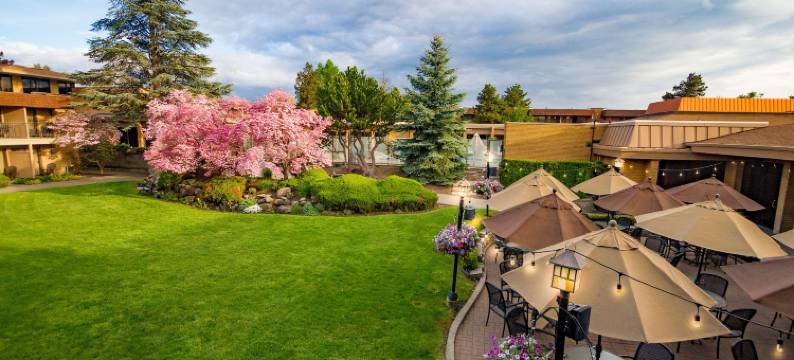 米拉博公园酒店(Mirabeau Park Hotel)图片