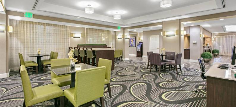 欧文DFW机场南拉昆塔温德姆套房酒店(La Quinta Inn & Suites by Wyndham DFW Airport South / Irving)图片