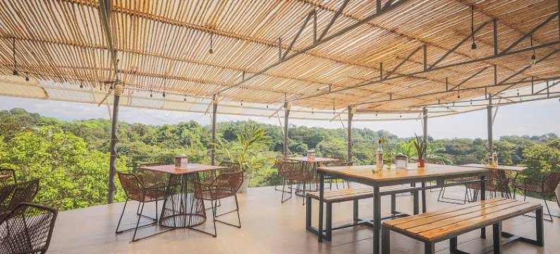 阿尔玛维达酒店(Alma Vida Hotel)图片