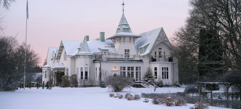 格兰霍尔姆别墅酒店(Villa Gransholm)图片