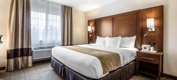 帕尔4号度假村舒适套房酒店(Comfort Suites at PAR 4 Resort)图片