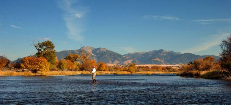金石旅馆(Golden Stone Inn)图片