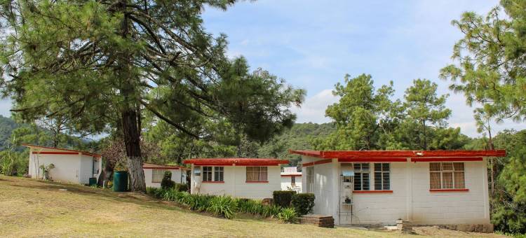 别墅林蒙小屋(Bungalows Villa Limon)图片