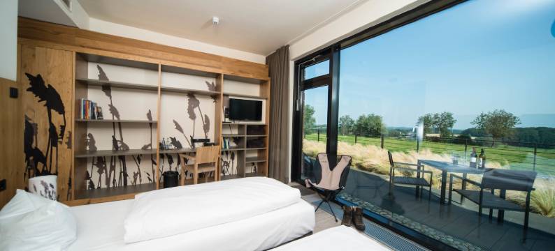 全景阿施贝格酒店(Panorama Hotel Aschberg)图片