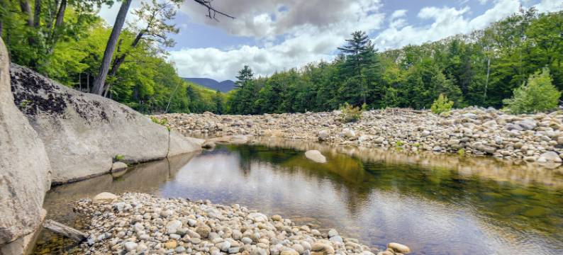 设施齐全的林肯住所：滑雪、游泳+钓鱼!(Well-Appointed Lincoln Abode Ski, Swim and Fish!)图片