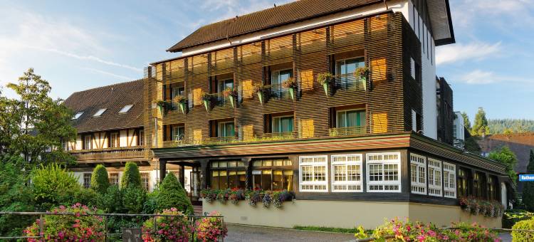 小鹿酒店(Hotel Hirschen)图片
