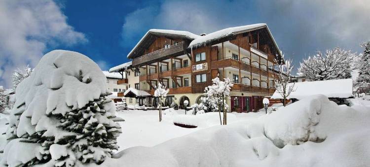 奥伯斯陶芬的小径酒店(Trail Hotel Oberstaufen)图片
