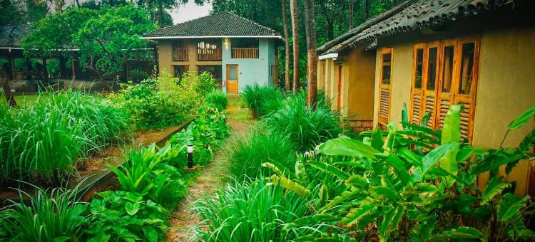 果园度假村(The Orchard Resort)图片