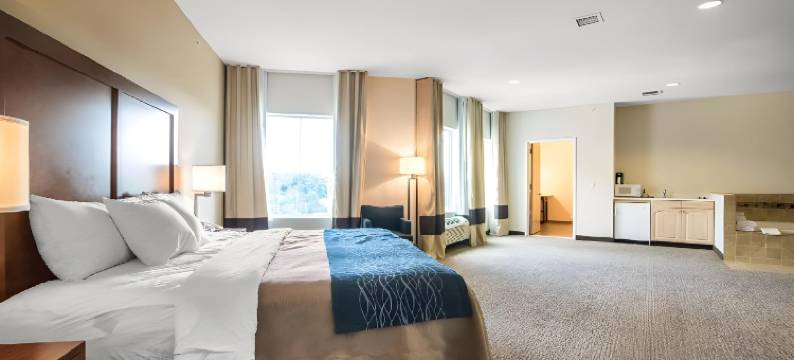 阿巴拉钦/宾汉顿西 17 号公路舒适酒店(Comfort Inn Apalachin / Binghamton W Route 17)图片